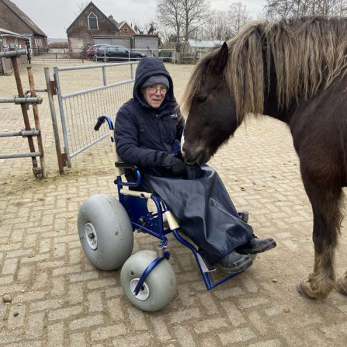 6.Robin-verkent-de-nieuwe-strandrolstoel.-ideaal-voor-weiland-en-paardenbak.