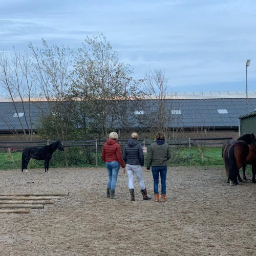 Zorgboerderij Het Strotouw Ervaringsdag 2022